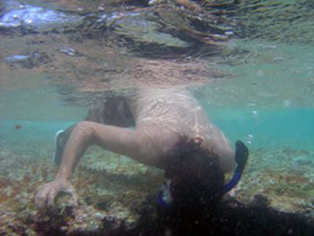 Paulo checking the shark hole, head first in the Hawaiian Islands National Wildlife Refuge. Photo: Ellyn Tong
